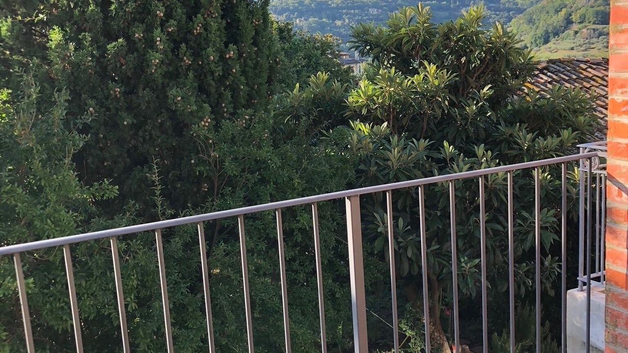 Photo of Outdoor in Mombaroccio