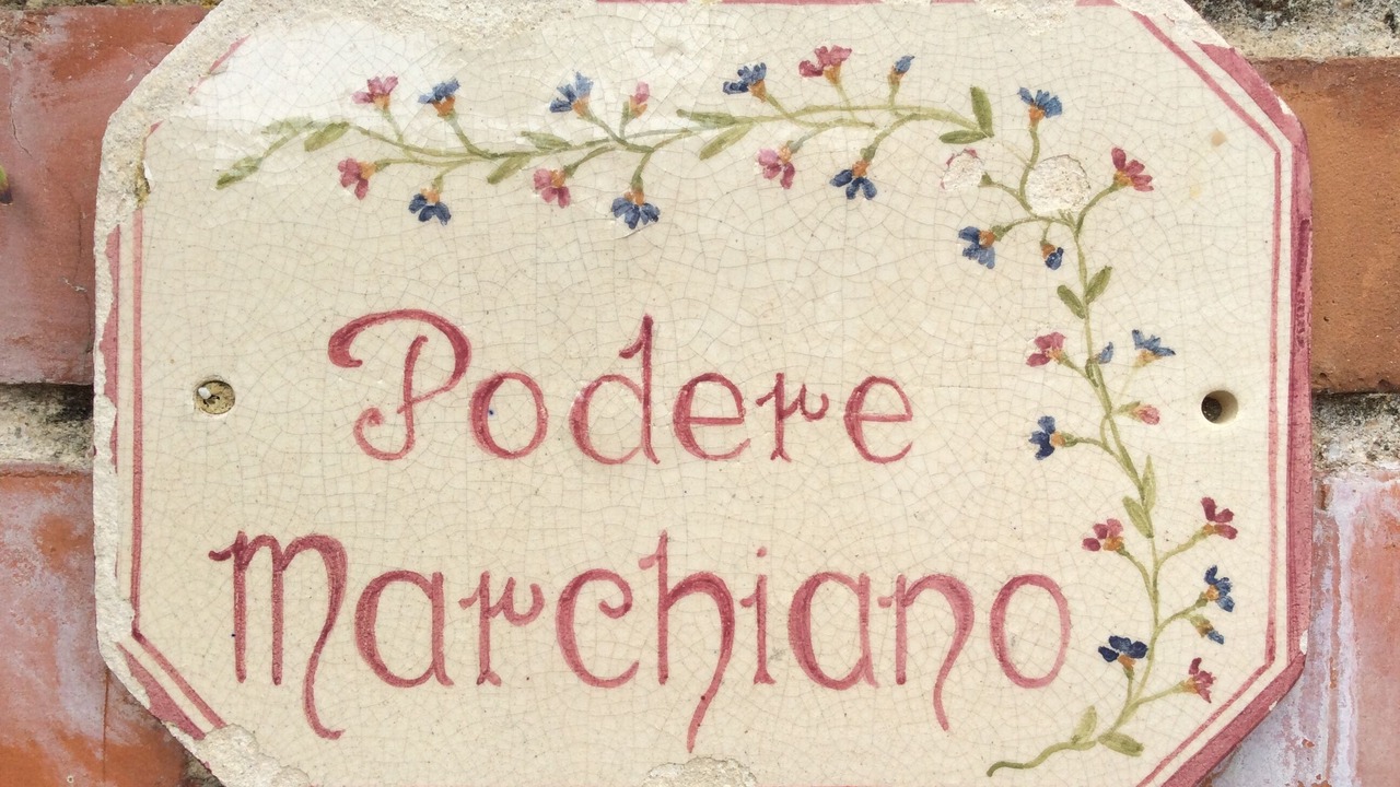 Photo of Outdoor in Larciano