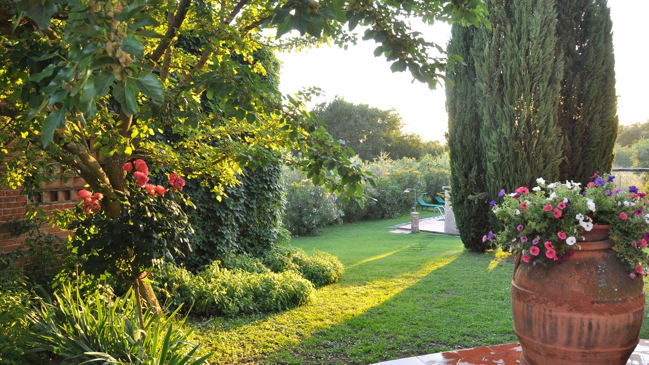 Photo of Outdoor in Larciano