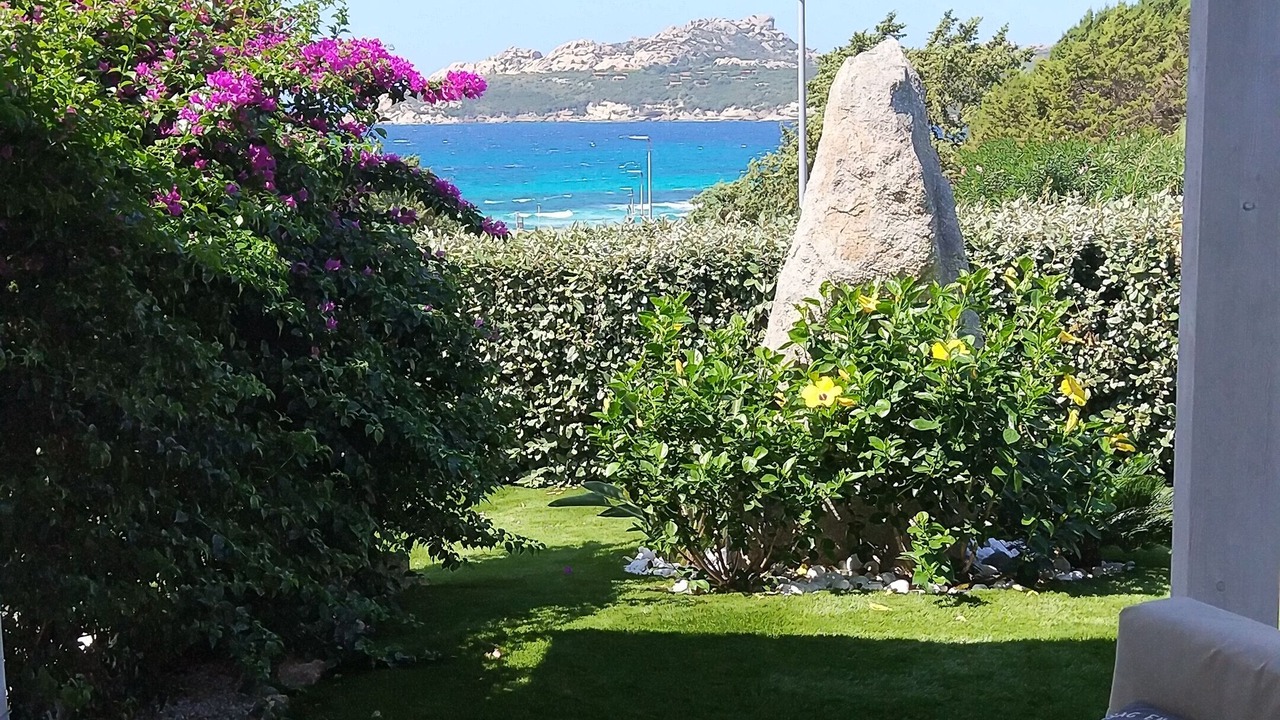 Photo of Outdoor in Santa Reparata