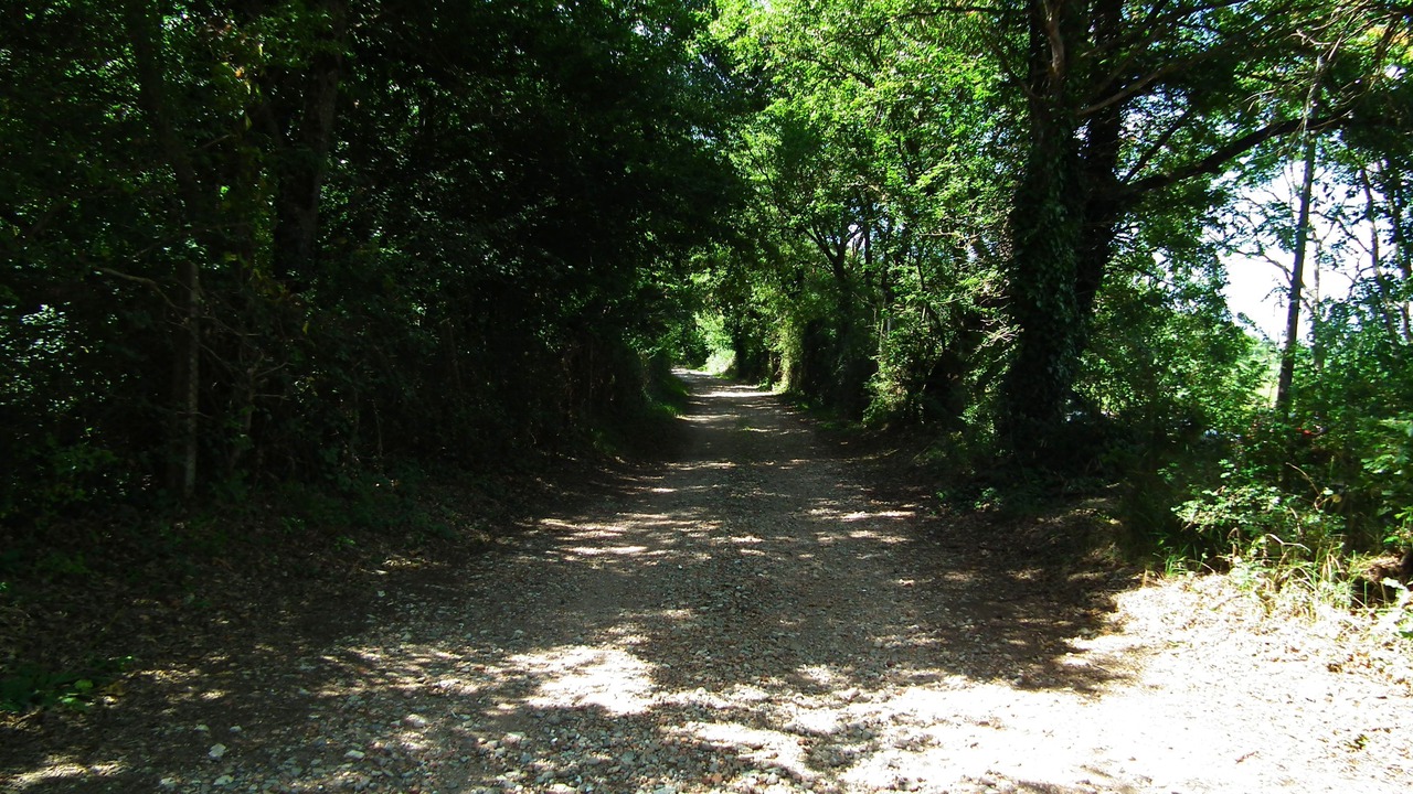 Photo of Outdoor in Pienza