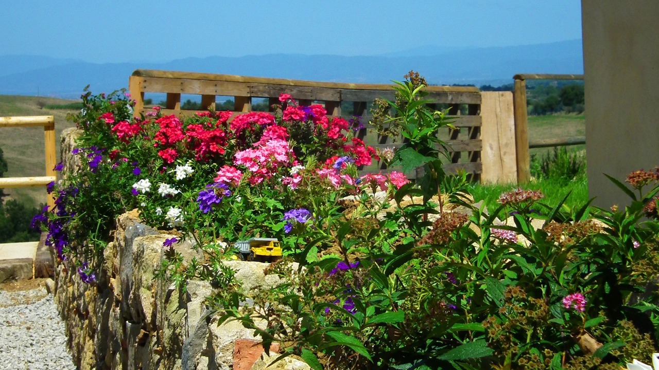 Photo of Outdoor in Pienza