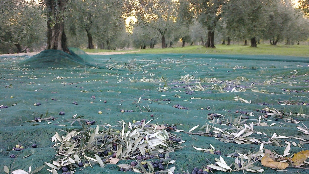 Photo of Outdoor in Acquasparta