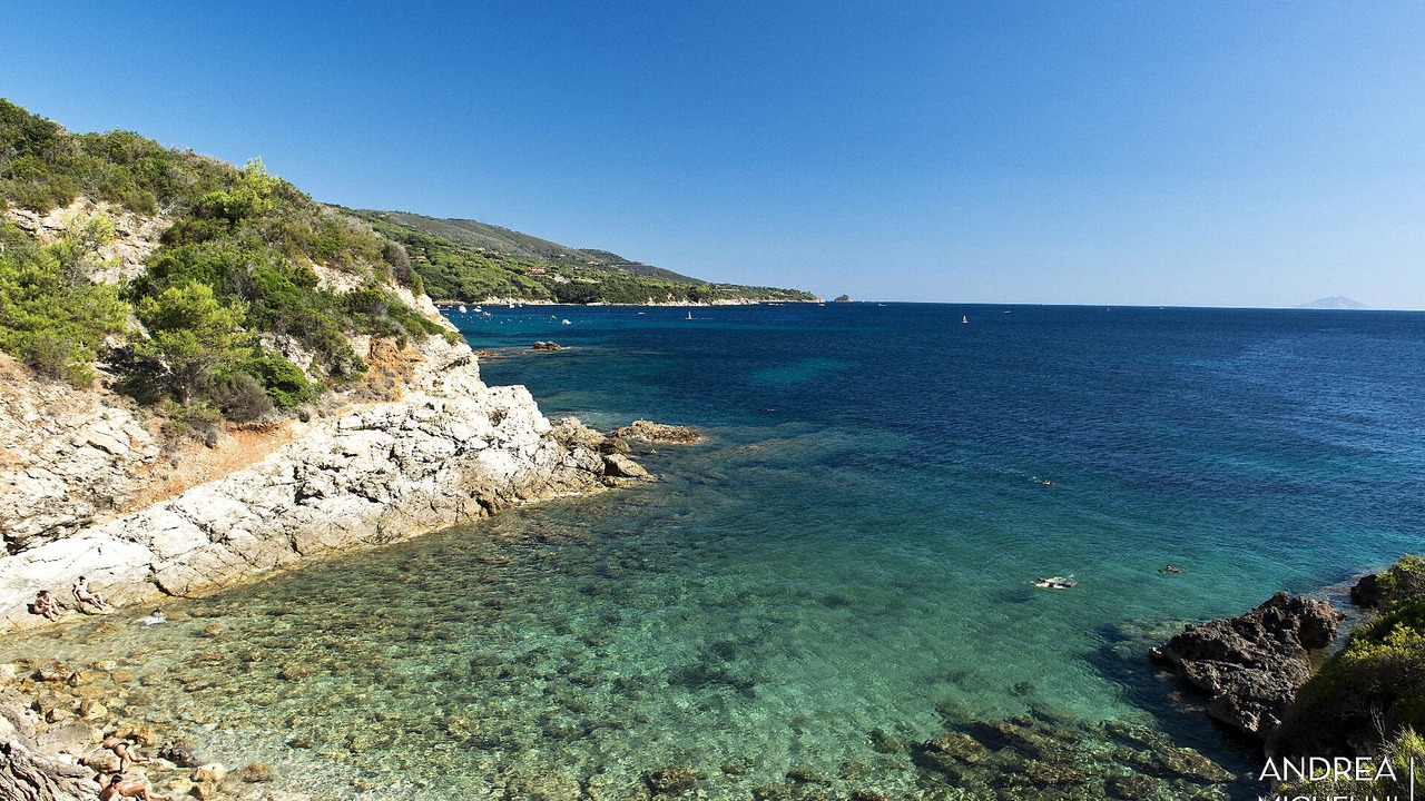 Photo of Others in Mola
