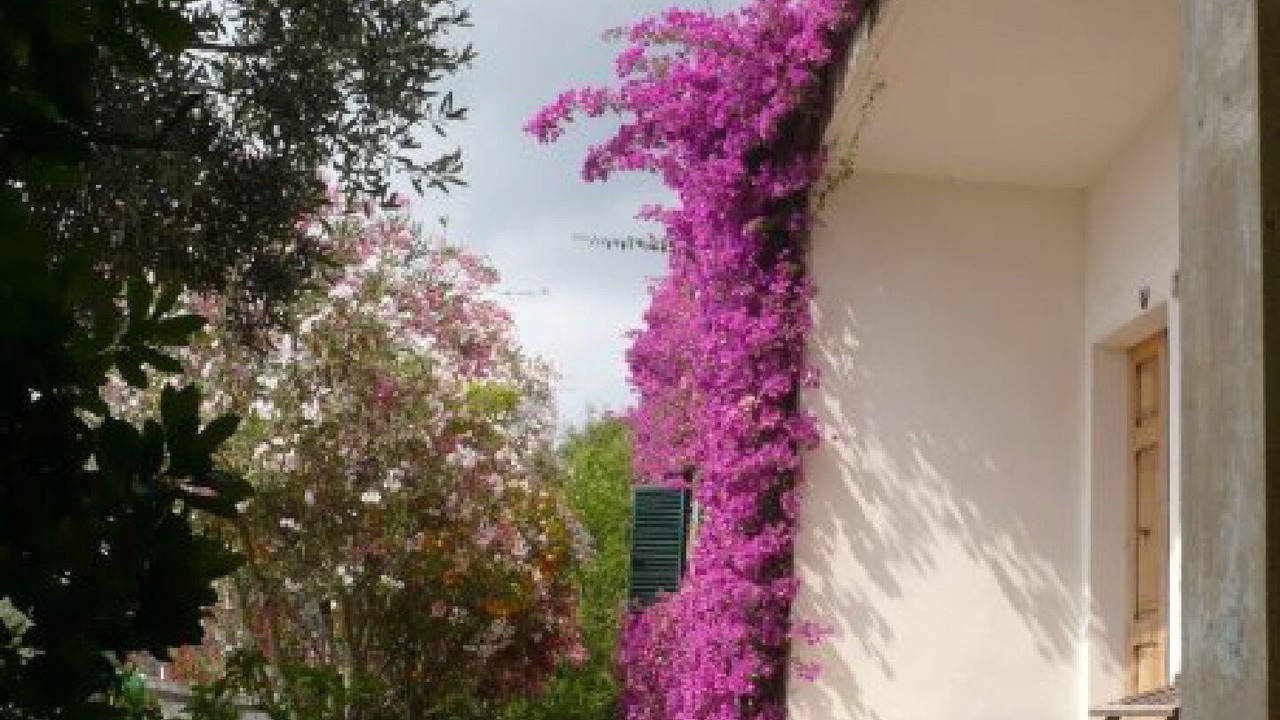 Photo of Outdoor in Mola