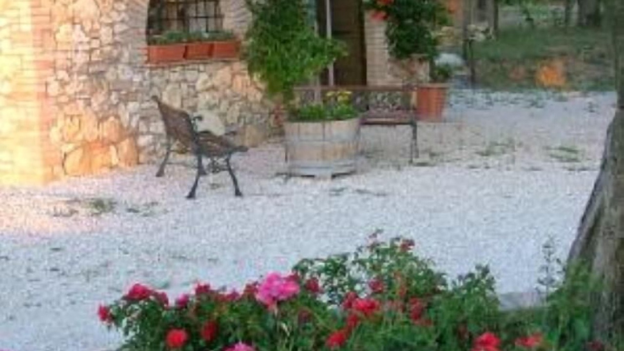 Photo of Outdoor in Amelia