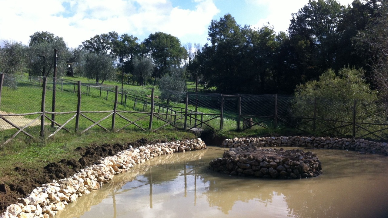 Photo of Outdoor in Amelia
