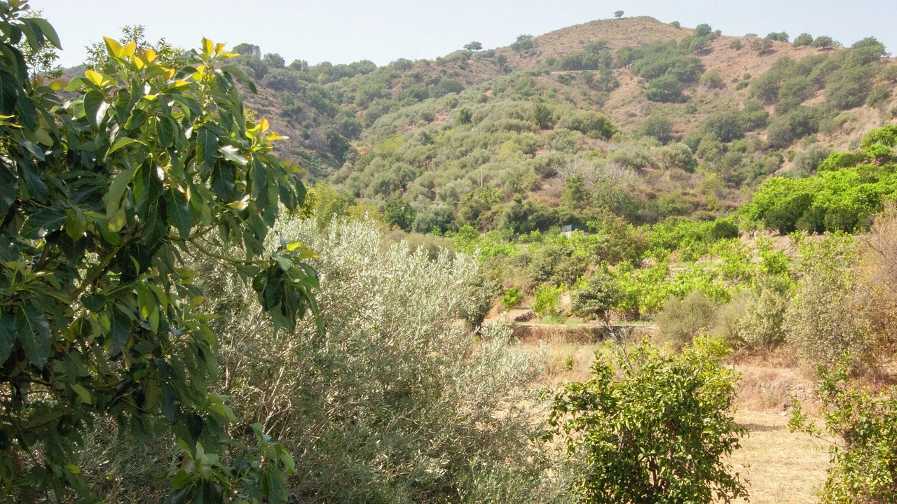 Photo of Outdoor in Mitogio