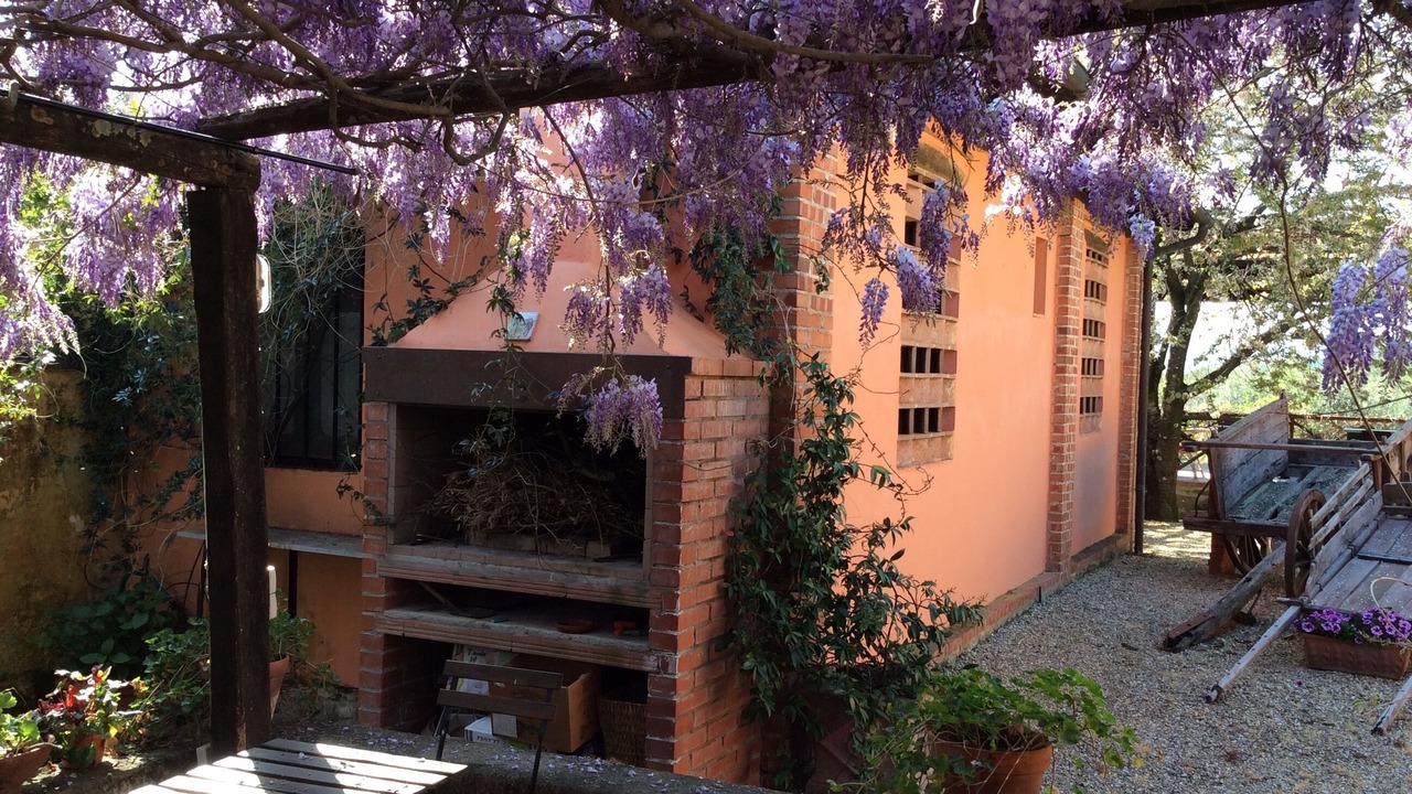 Photo of Outdoor in Larciano