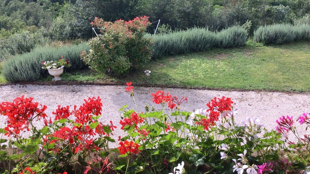Photo of Outdoor in Montecchio