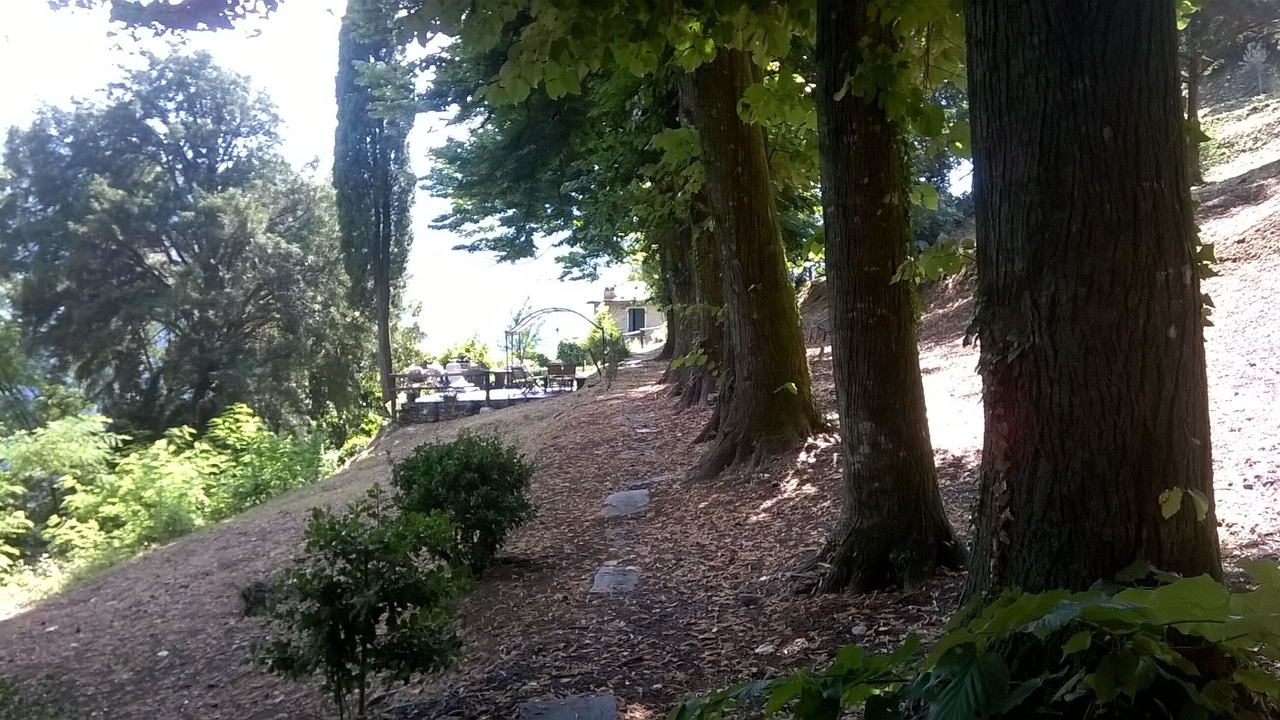 Photo of Outdoor in Stazzema