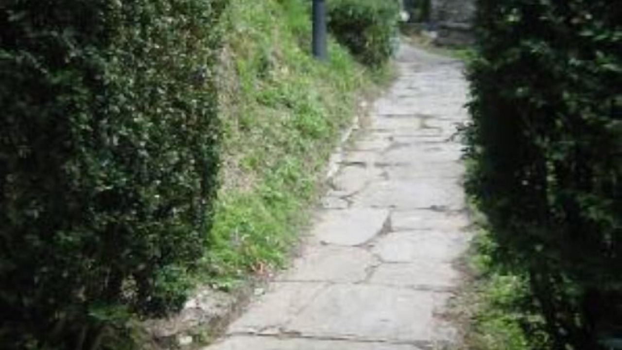 Photo of Outdoor in Stazzema