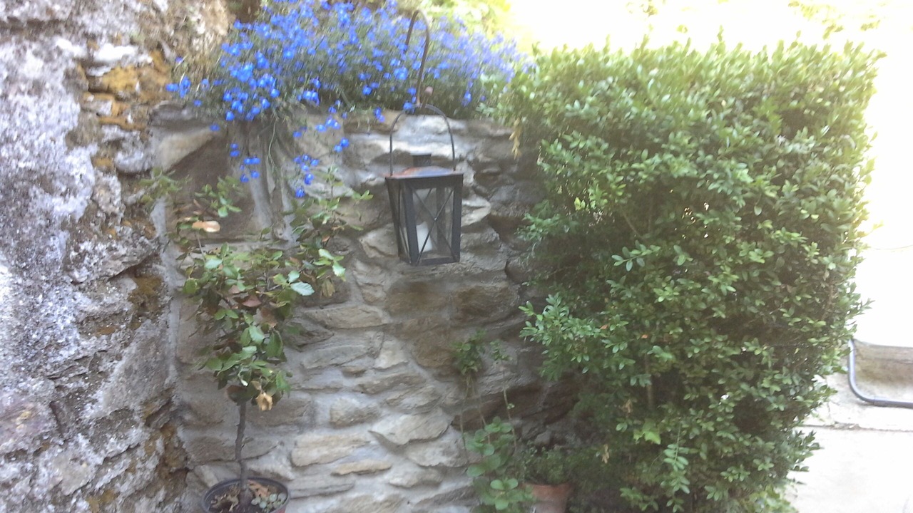 Photo of Outdoor in Stazzema