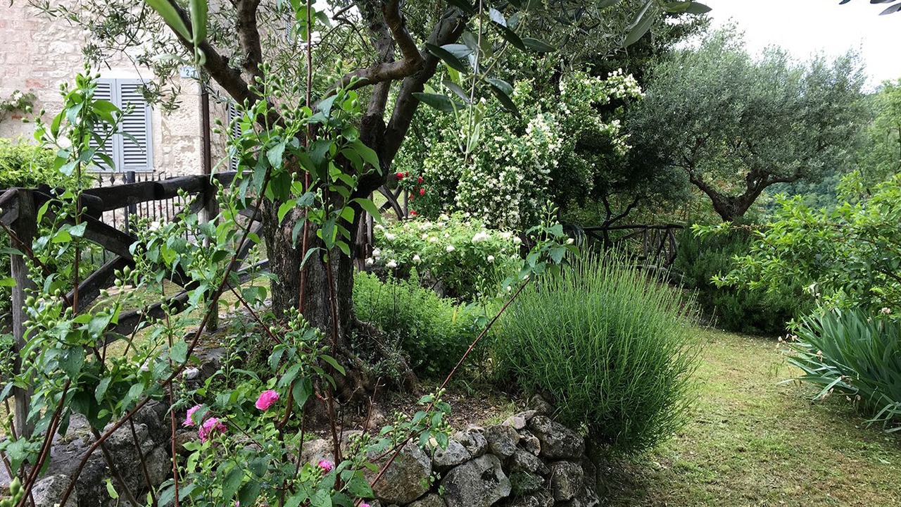 Photo of Outdoor in Zovencedo