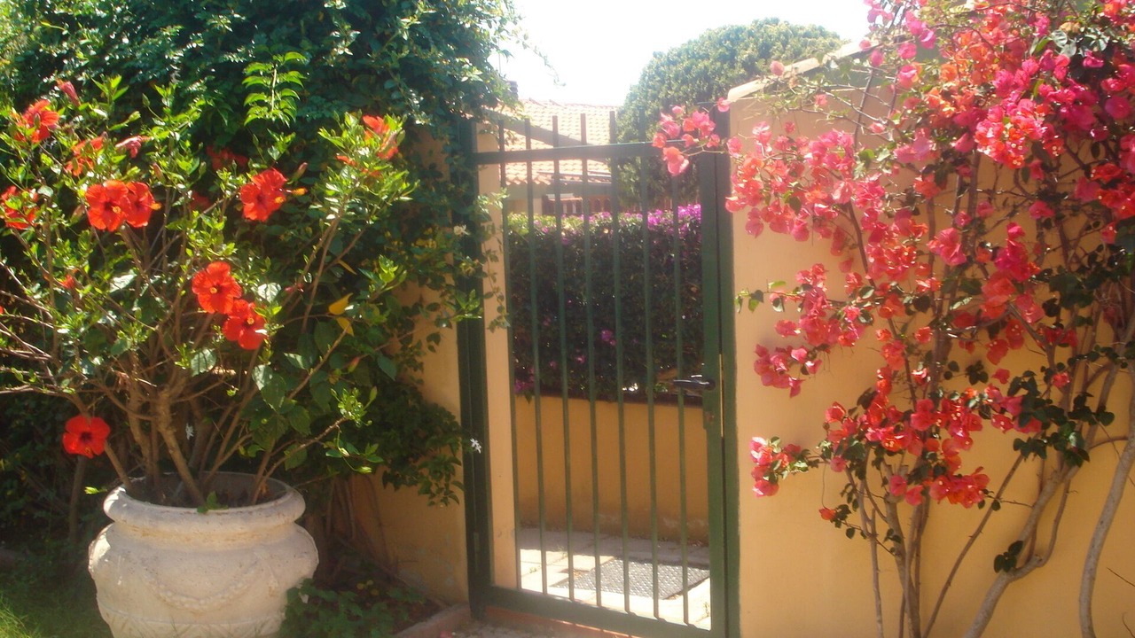 Photo of Others in Solanas