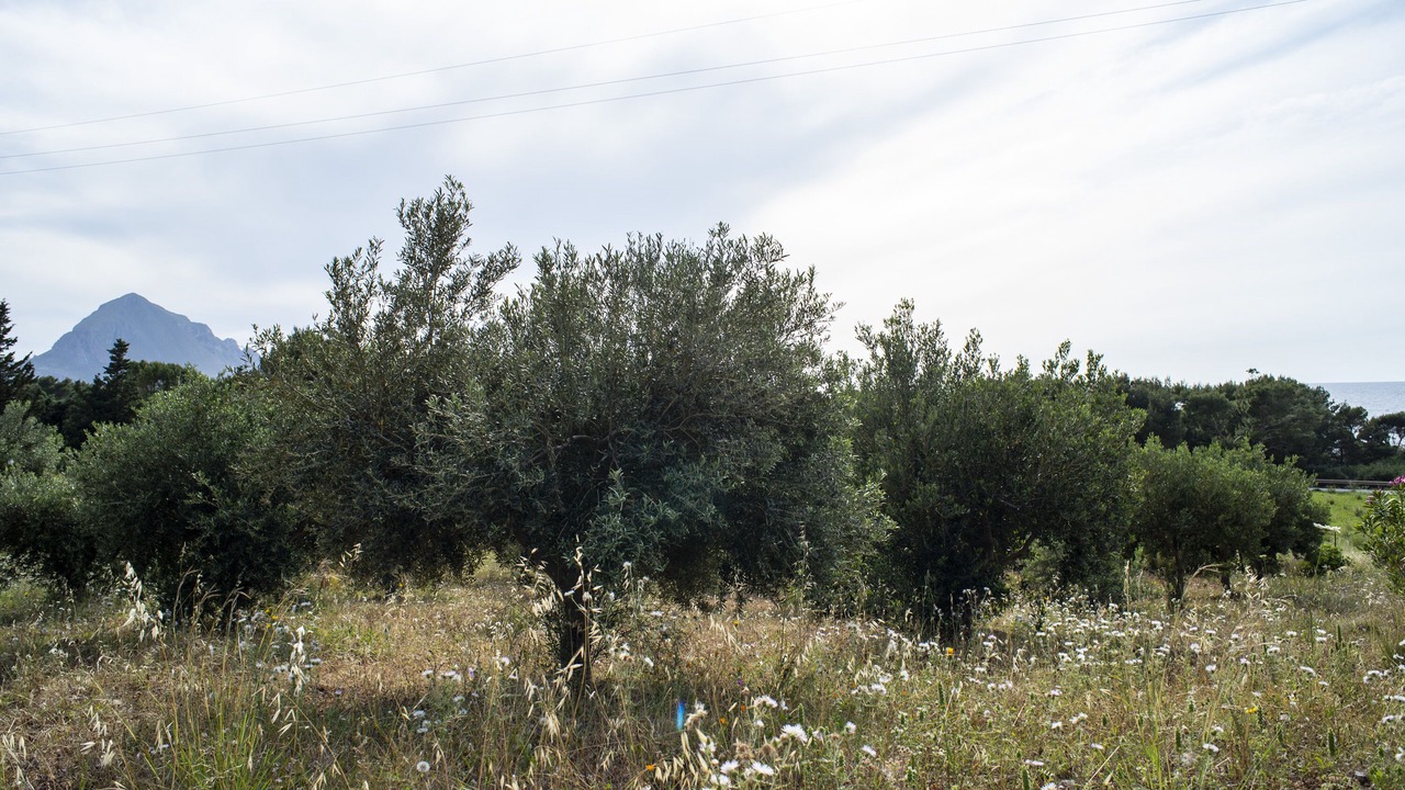 Photo of Outdoor in Macari