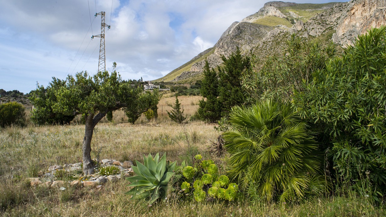Photo of Outdoor in Macari