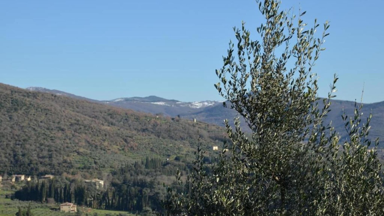 Photo of Others in Cortona