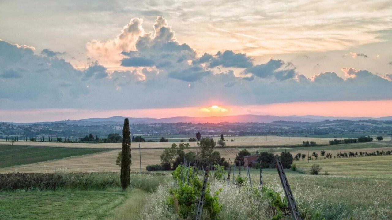 Photo of Others in Cortona