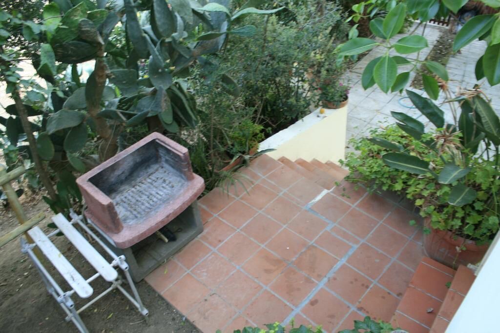 Photo of Patio Balcony in Solanas