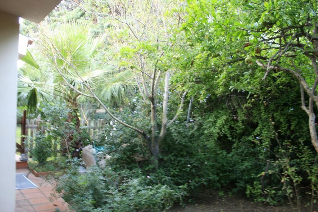 Photo of Outdoor in Solanas