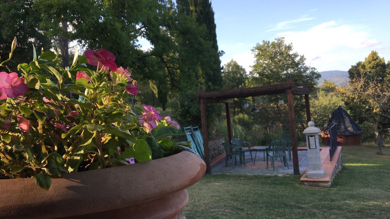 Photo of Patio Balcony in Starda