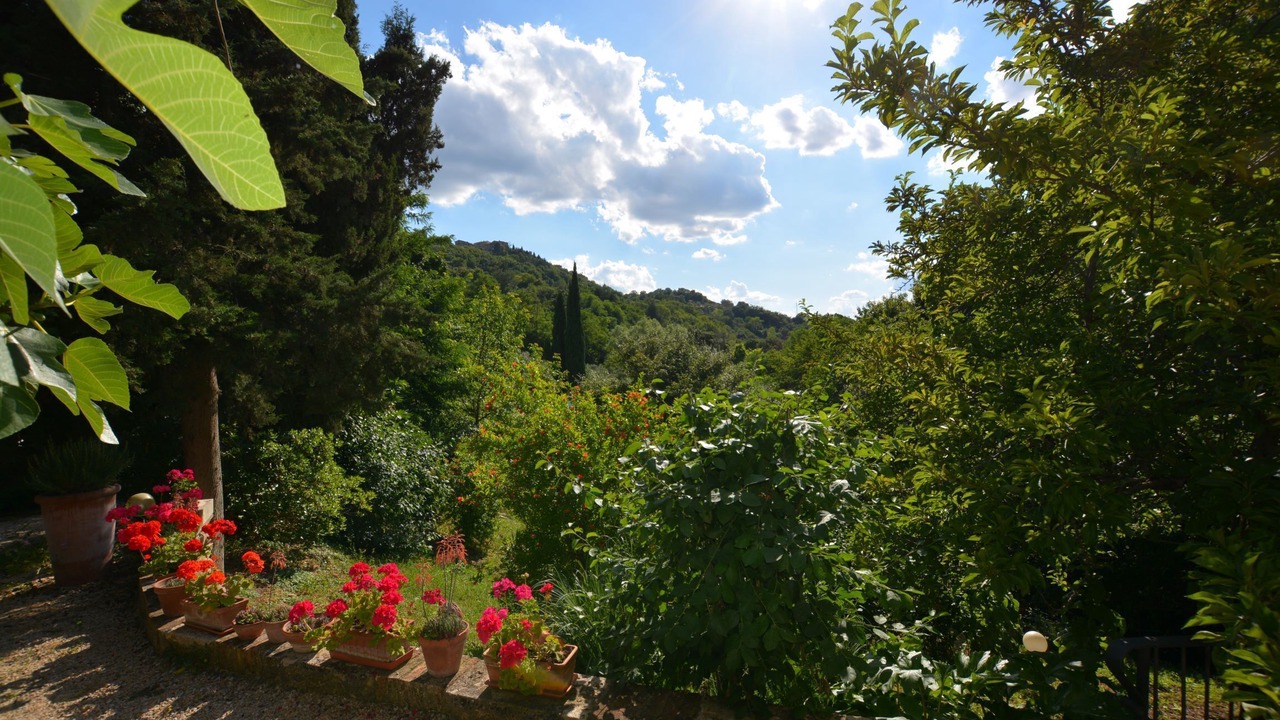 Photo of Outdoor in Radicondoli