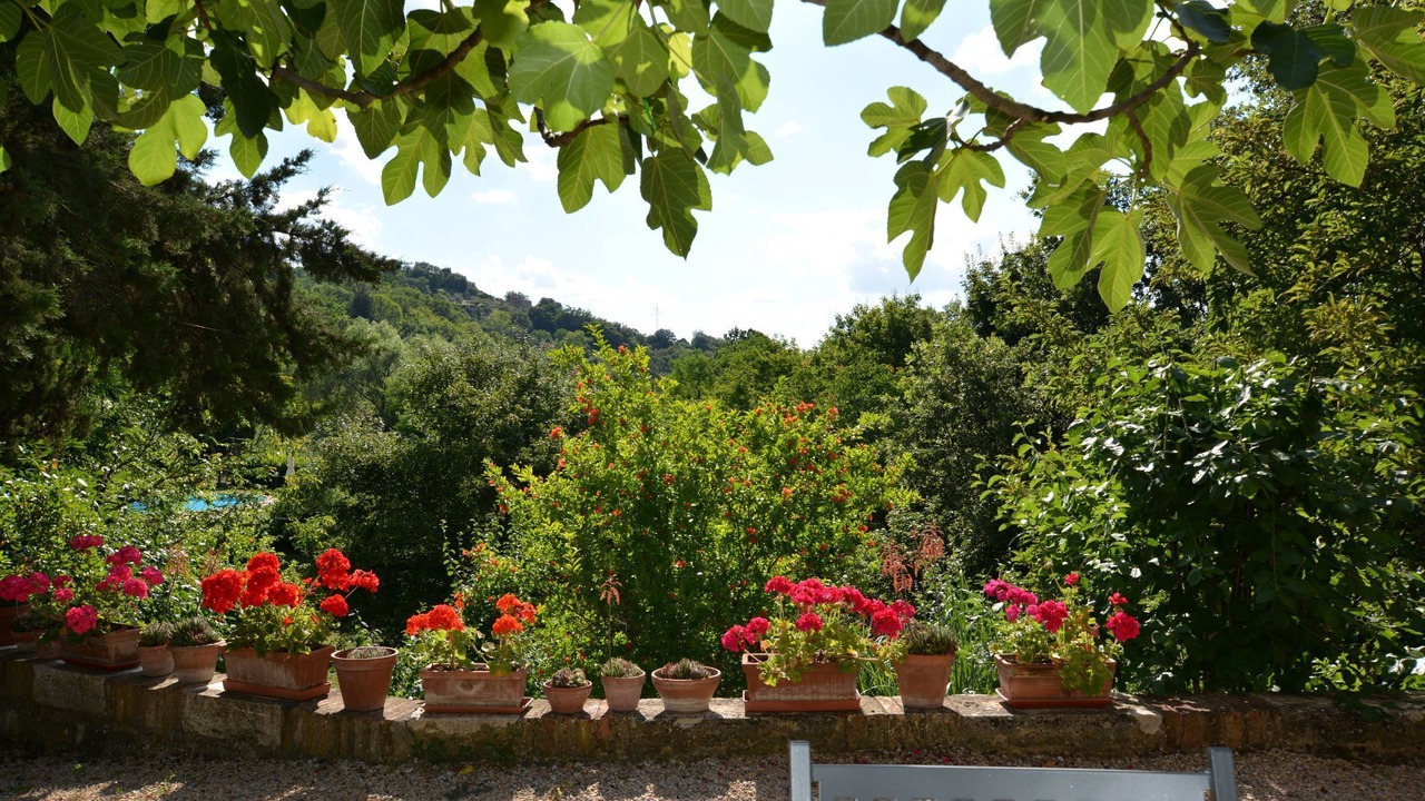 Photo of Outdoor in Radicondoli