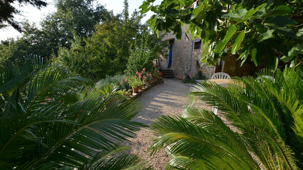 Photo of Outdoor in Radicondoli