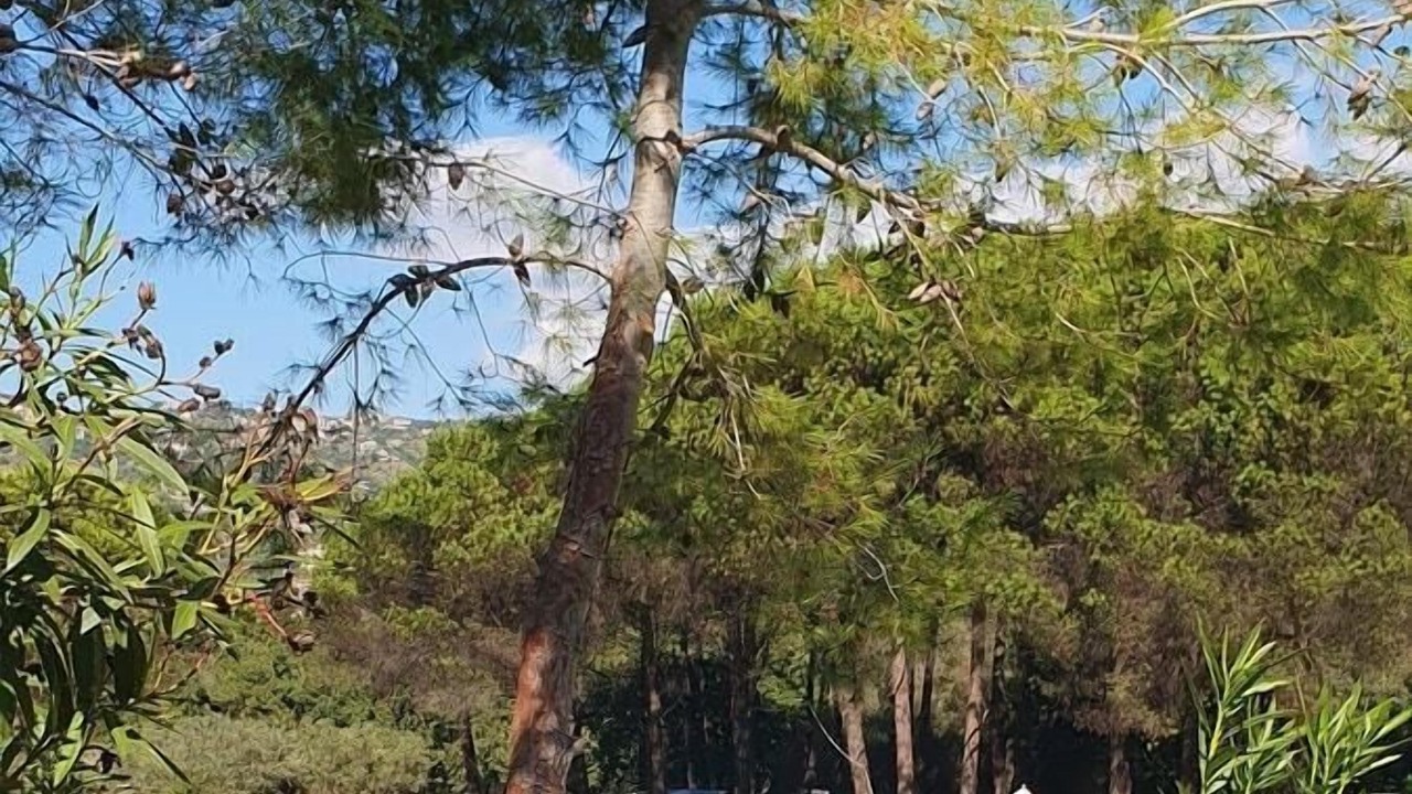 Photo of Outdoor in Castellabate