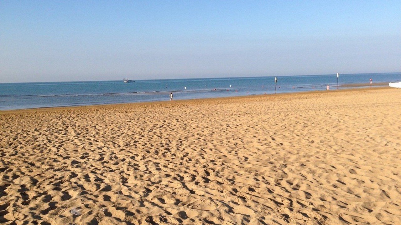 Photo of Others in Lignano Pineta