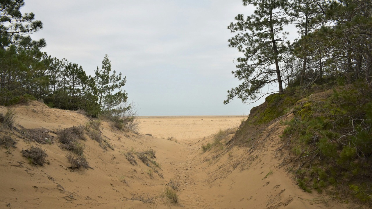 Photo of Others in Lignano Pineta