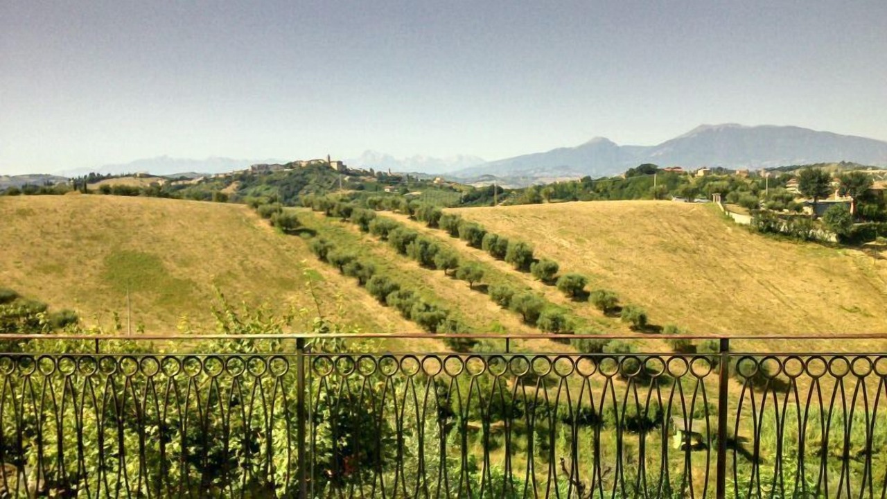 Photo of Outdoor in Monsampolo del Tronto