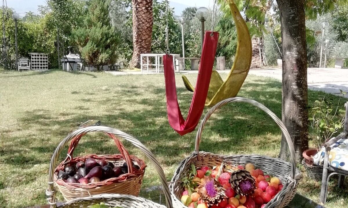 Photo of Outdoor in Monsampolo del Tronto