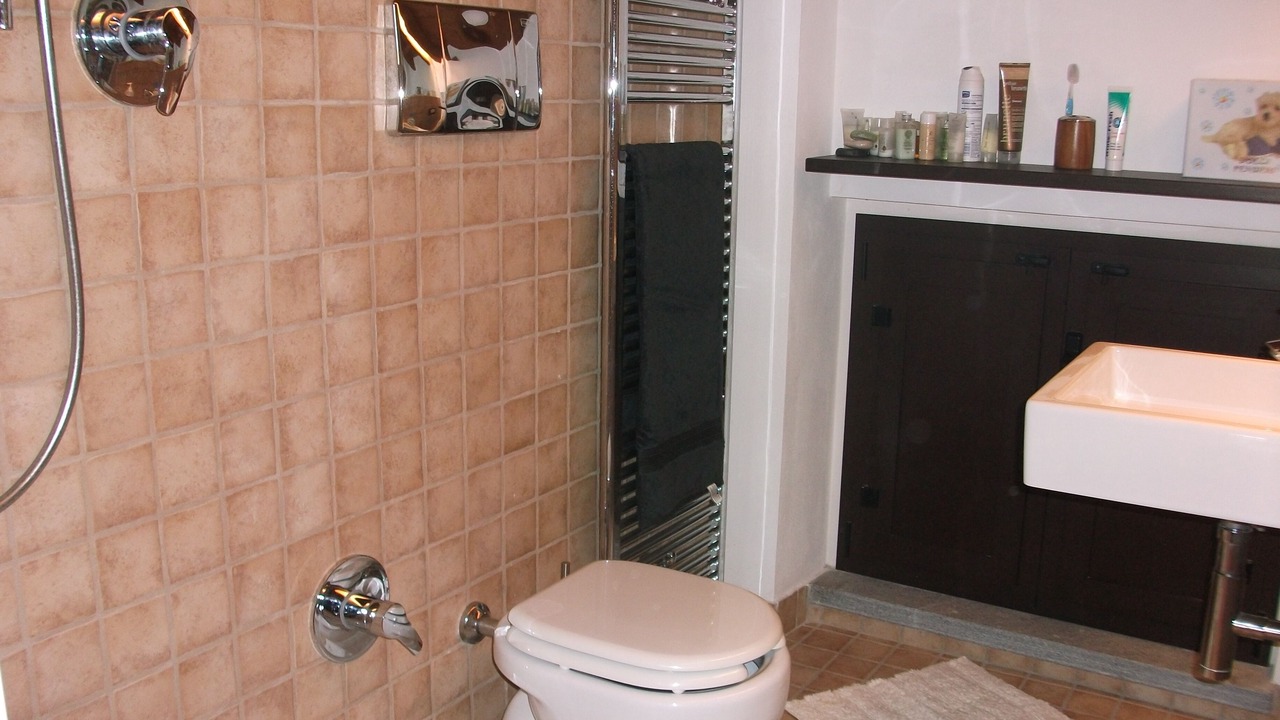 Photo of Bathroom in Busseto