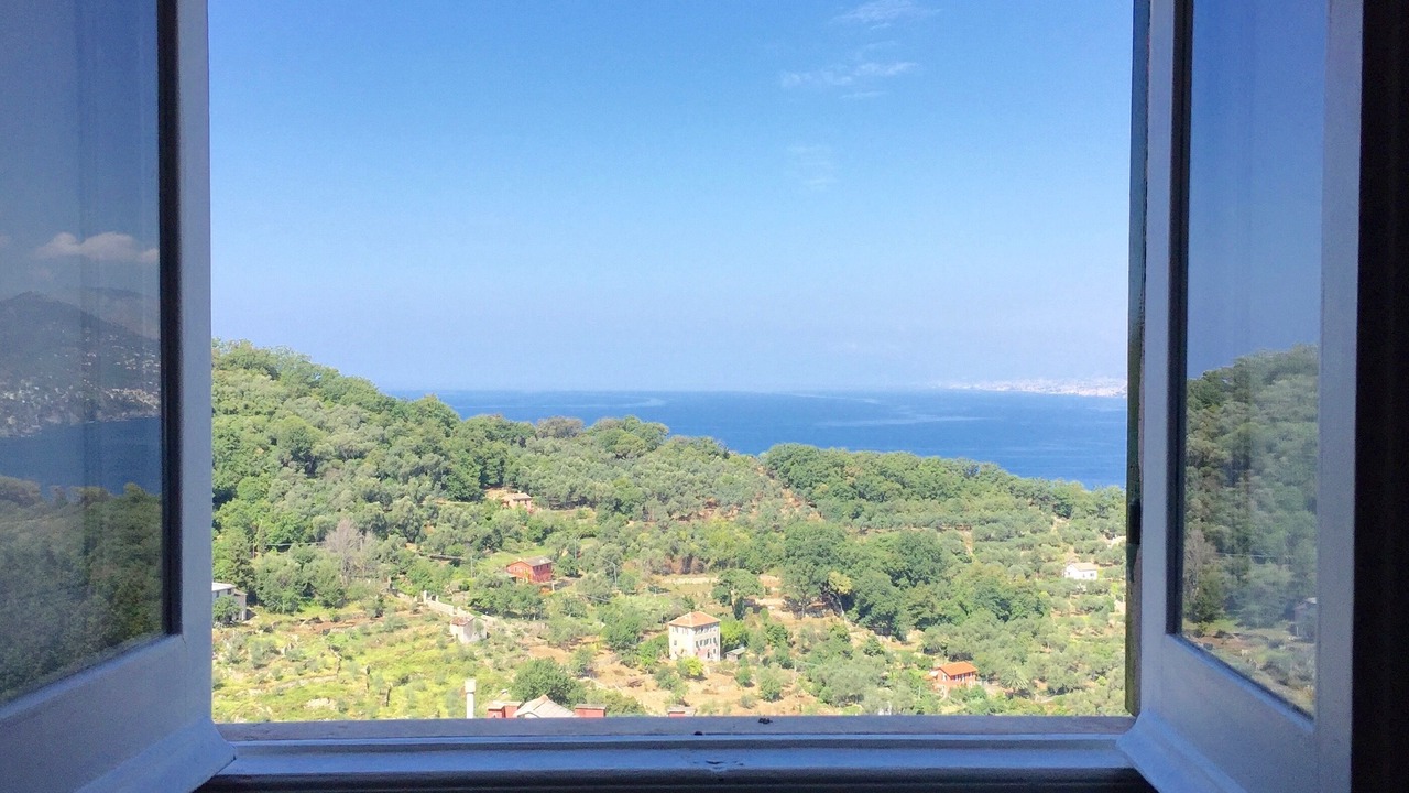 Photo of Outdoor in Camogli