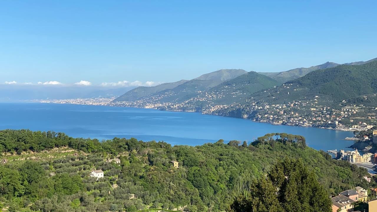 Photo of Outdoor in Camogli