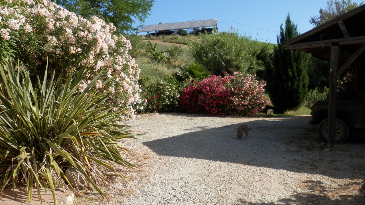 Photo of Outdoor in Ripatransone