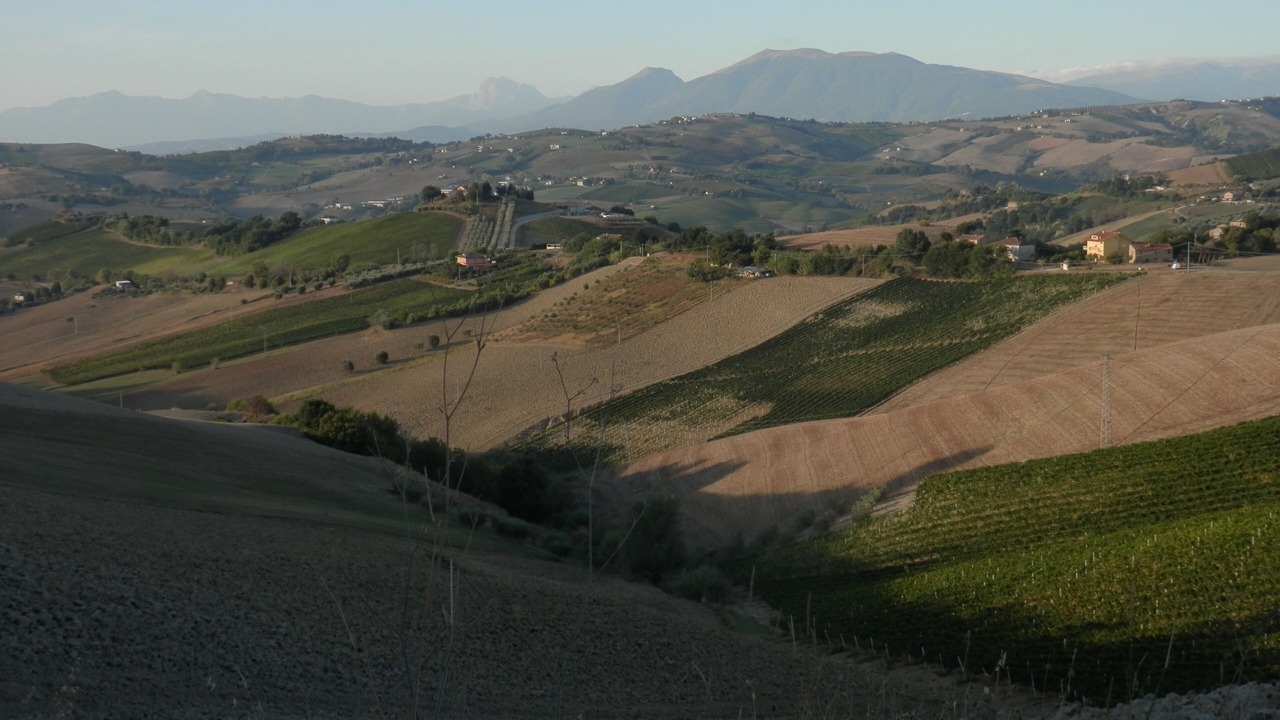 Photo of Others in Ripatransone