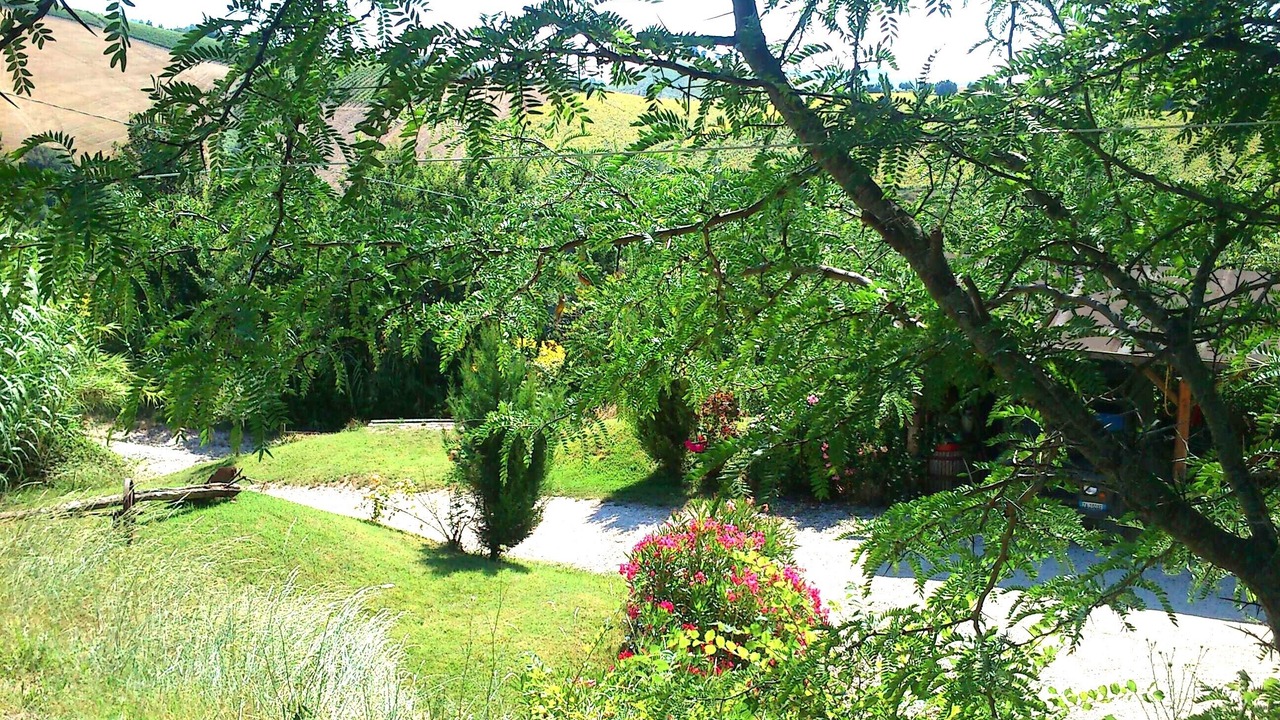Photo of Outdoor in Ripatransone