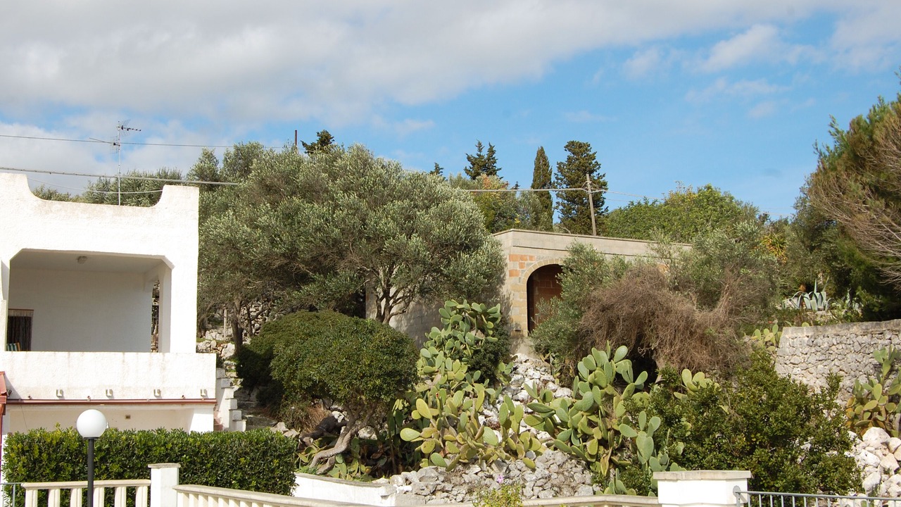 Photo of Outdoor in Castro Marina