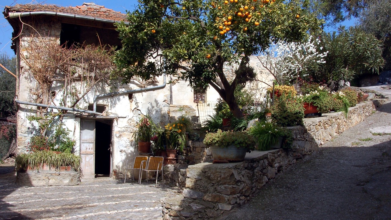 Photo of Outdoor in Diano San Pietro