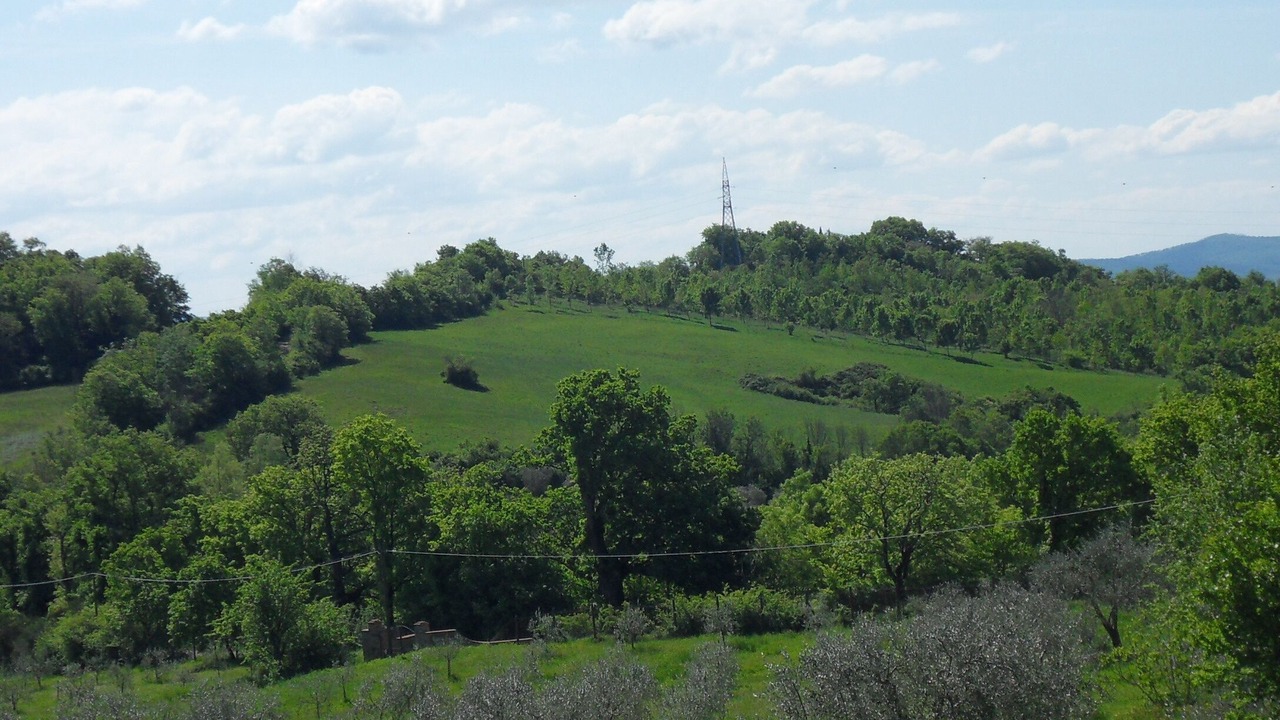 Photo of Outdoor in Belforte