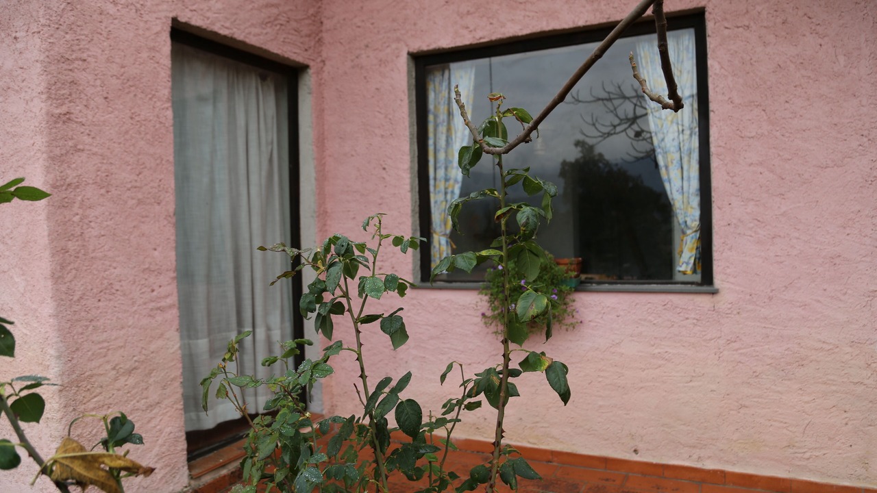 Photo of Outdoor in Camporgiano