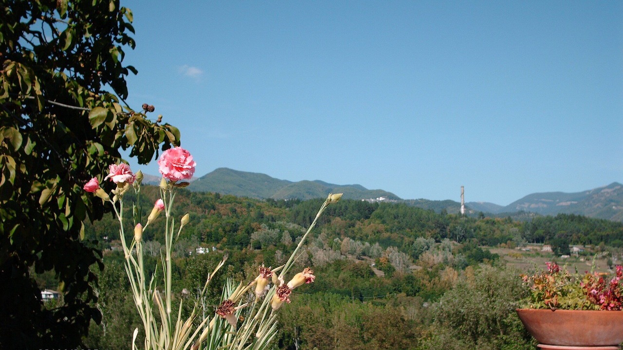 Photo of Others in Camporgiano