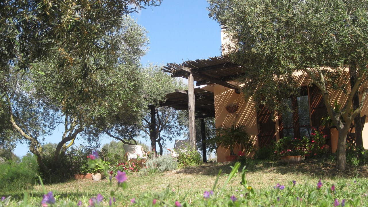 Photo of Outdoor in Cabras