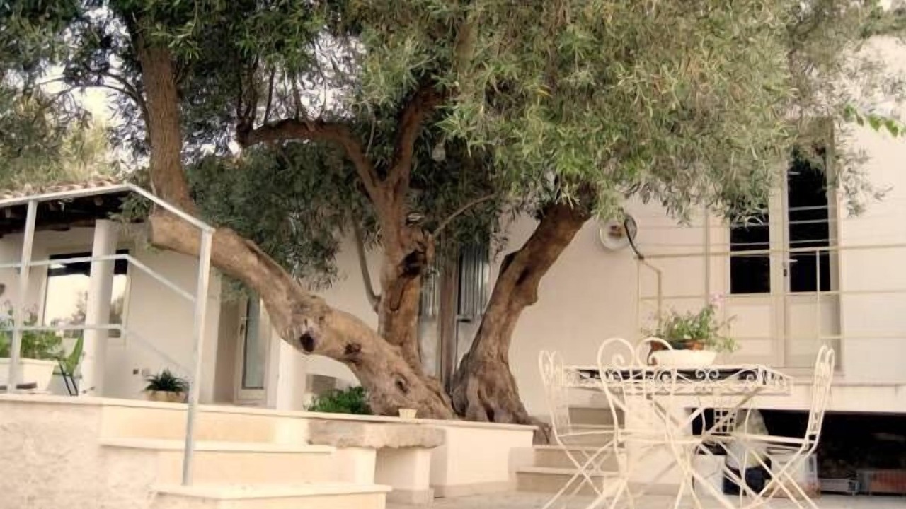 Photo of Outdoor in Balata di Modica