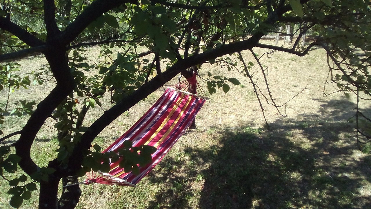 Photo of Outdoor in Saturnana