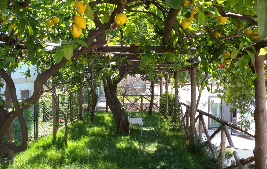 Photo of Outdoor in Maiori