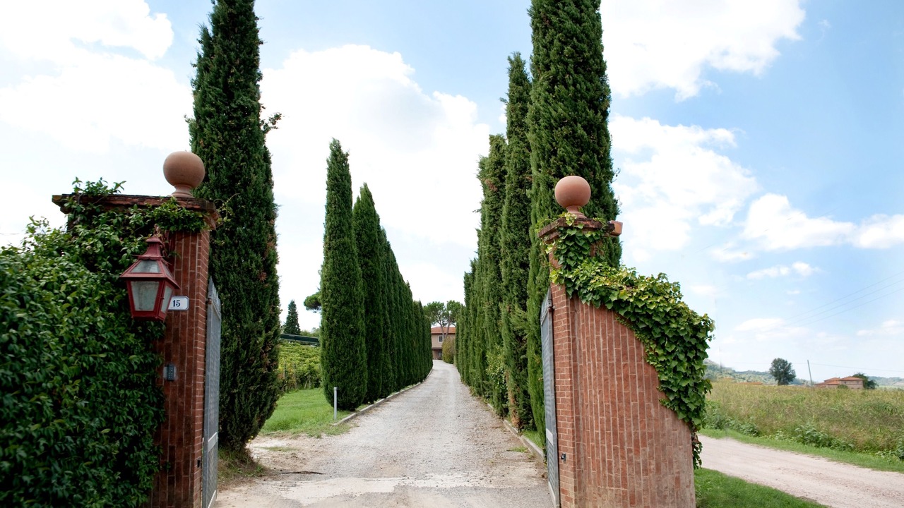 Photo of Outdoor in Toiano